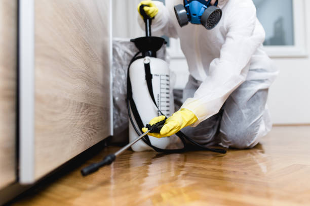 Pest Control Cost in Leon Valley, TX