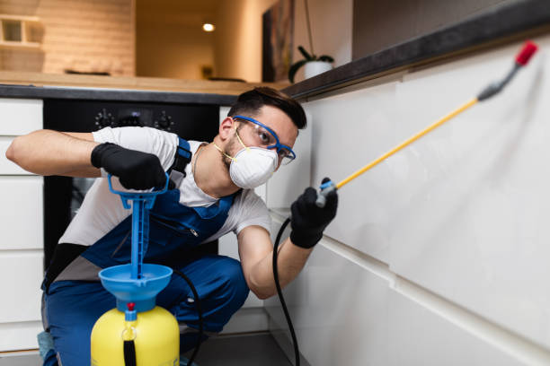 Best Affordable Pest Control Services  in Leon Valley, TX