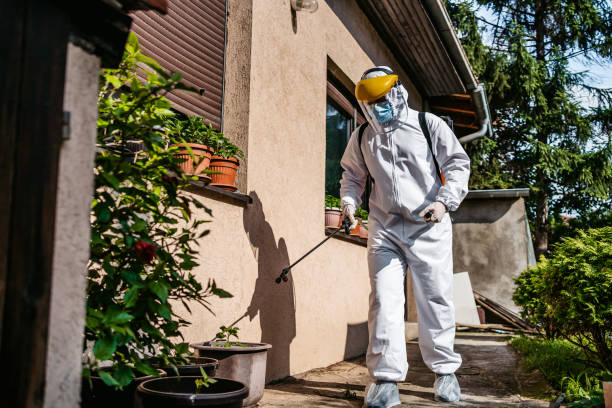 Best Affordable Pest Control Services  in Leon Valley, TX