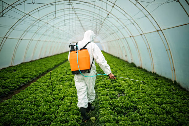 Best Mosquito Control Services  in Leon Valley, TX