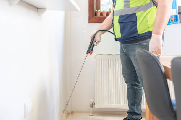 Best Exterminator Services  in Leon Valley, TX