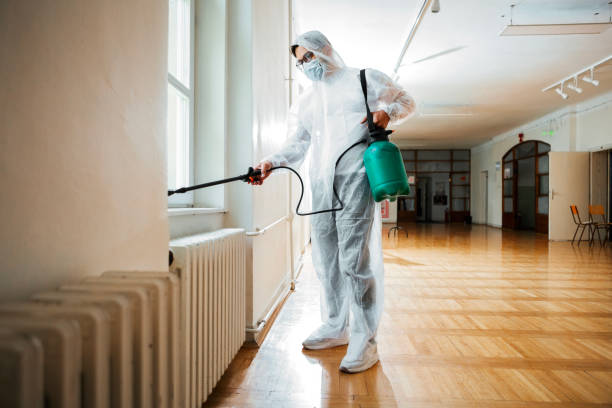 Best Emergency Pest Control  in Leon Valley, TX