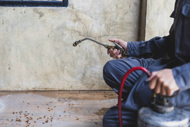  Leon Valley, TX Pest Control Pros